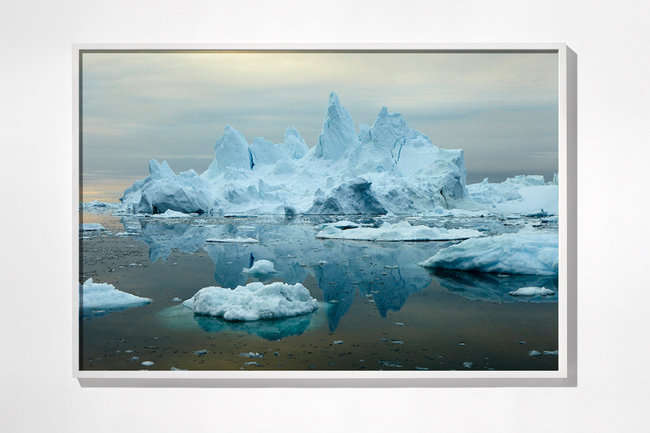 Iceberg g354 frame 650 xxx q85