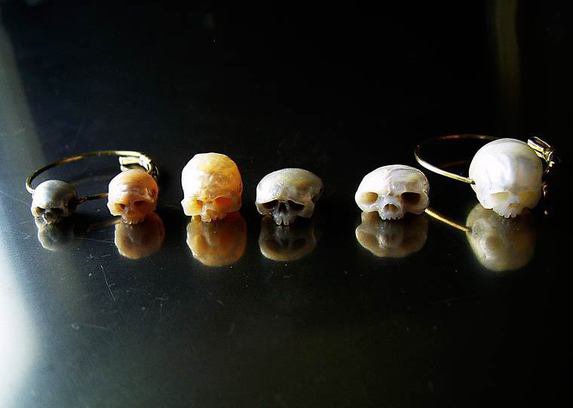 Pearl skulls shinji nakaba 11 573 xxx q85