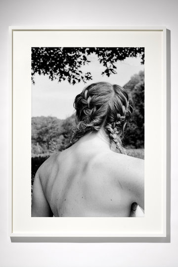 Bird framed 360 xxx q85