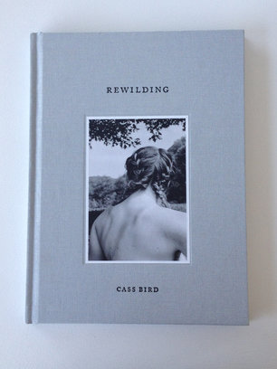 Rewilding rt 306 xxx q85